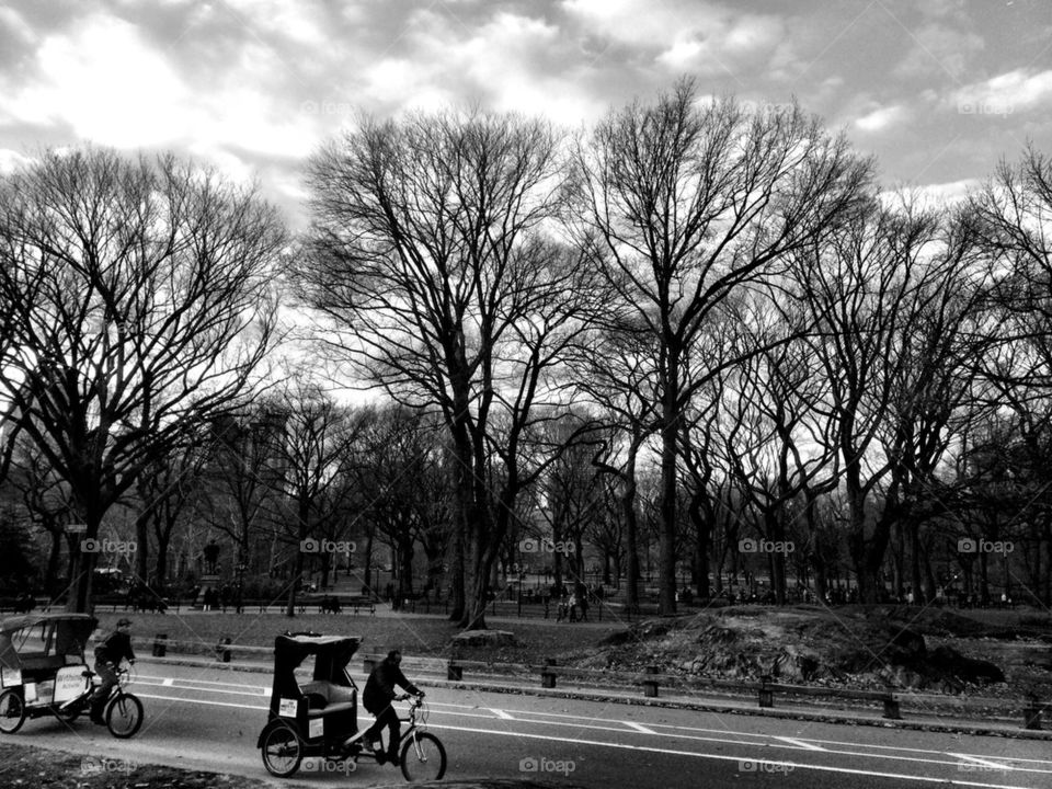 Christmas Day in Central Park