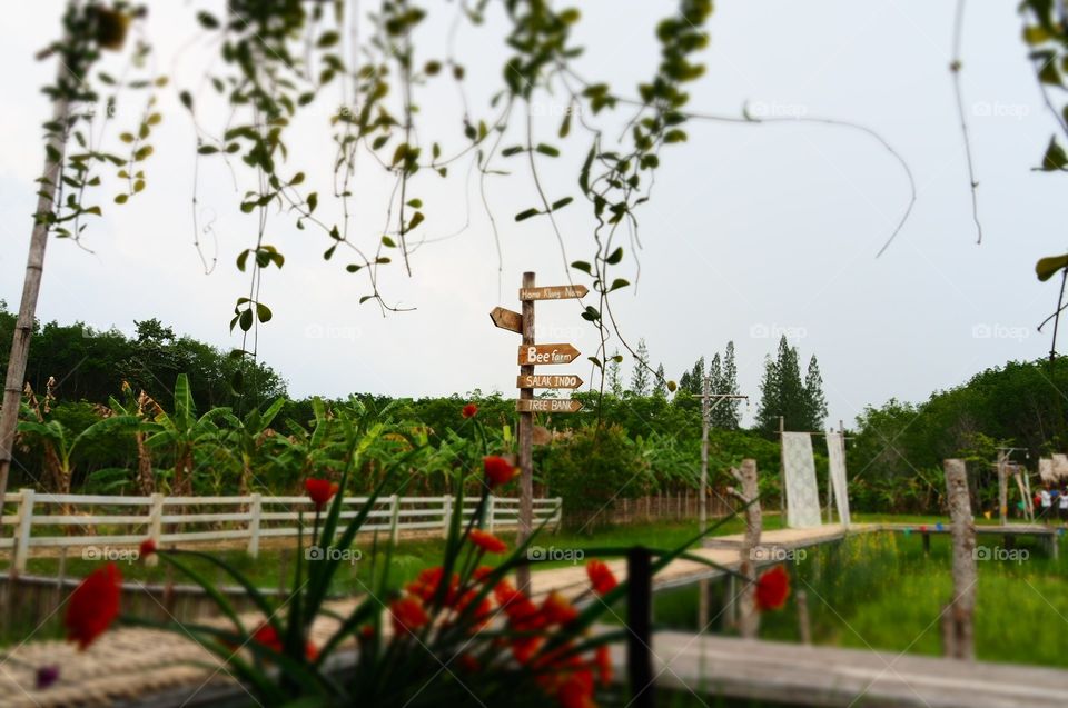 Relaxing view while drinking coffee in a local farm.