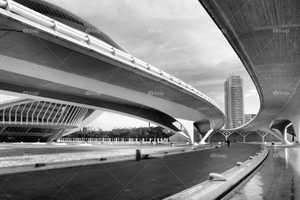 City of arts and Sciences 