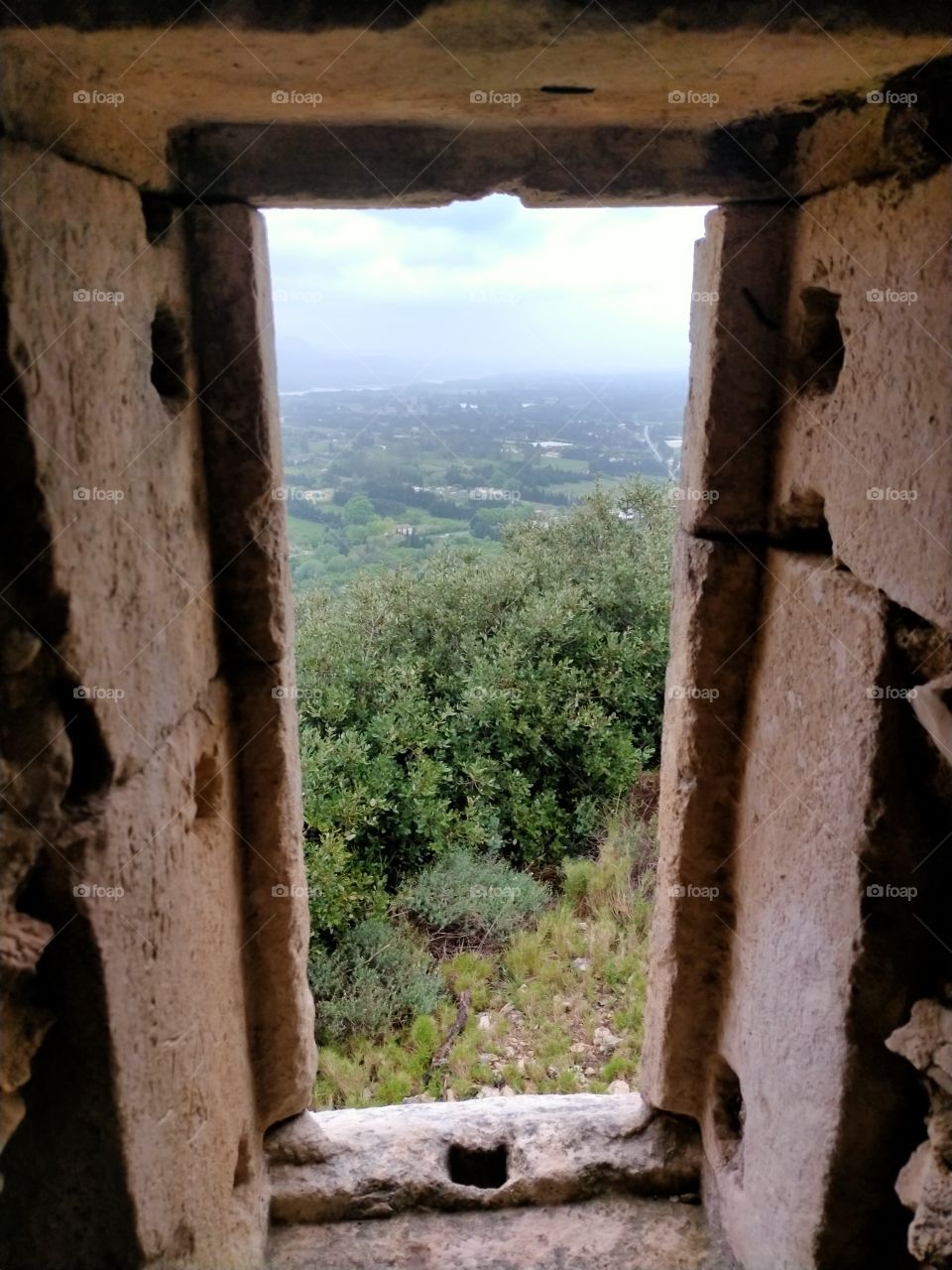 A door open to the nature