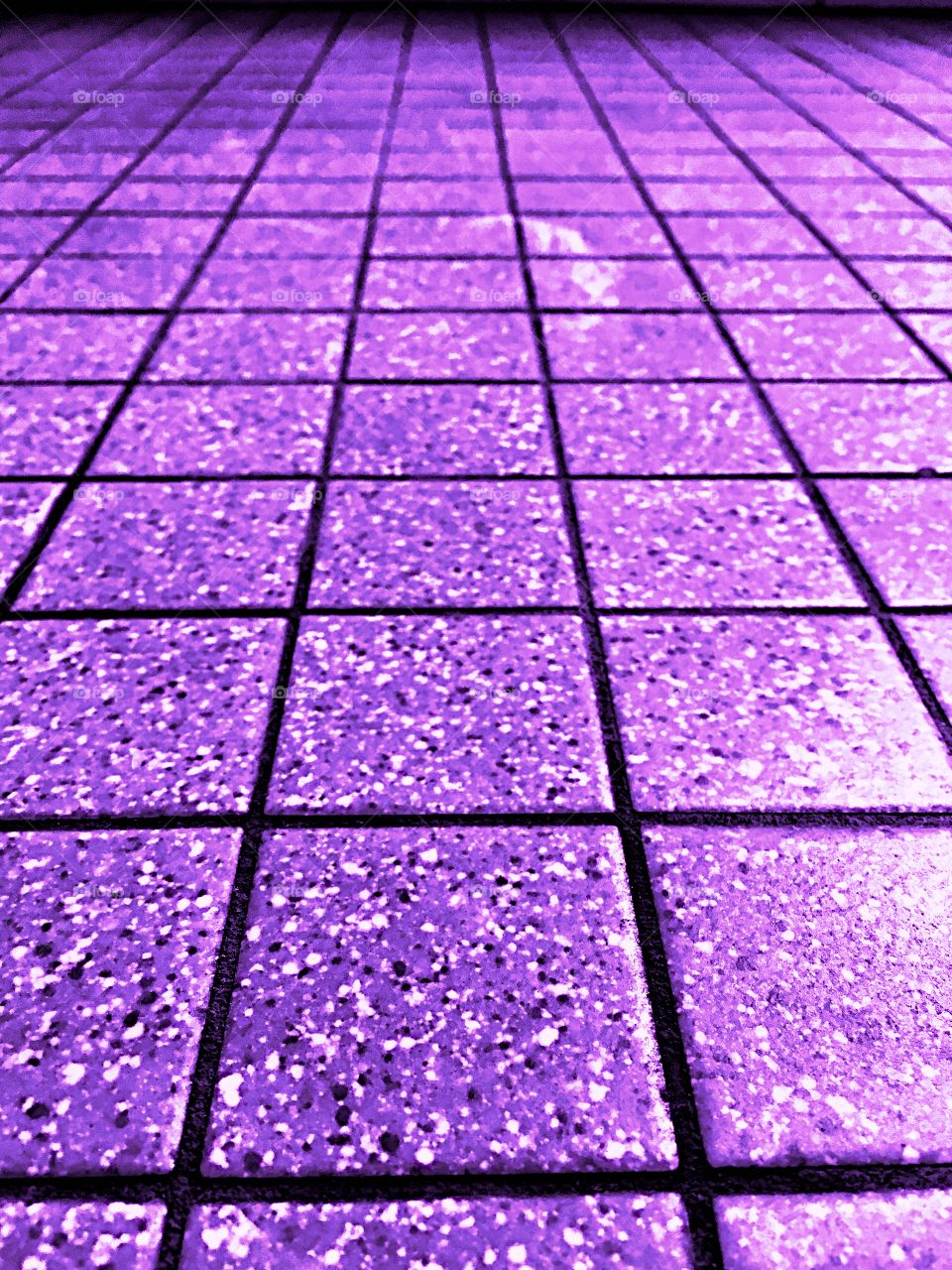 Close-up of purple tiles