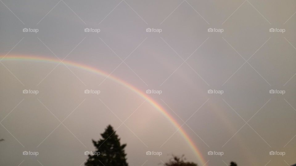 Rainbow