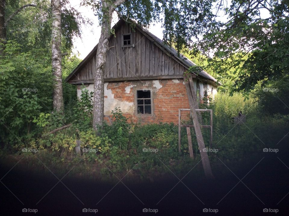 Wood, Rustic, No Person, House, Bungalow