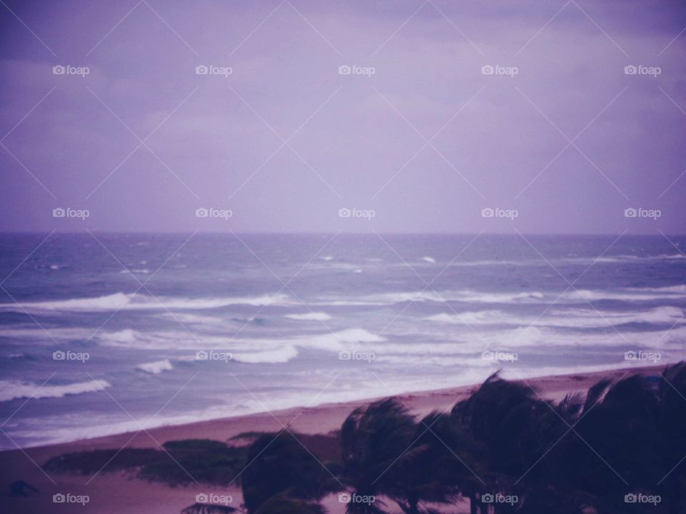 Storm over ocean, waves, wind blowing palm trees🌴