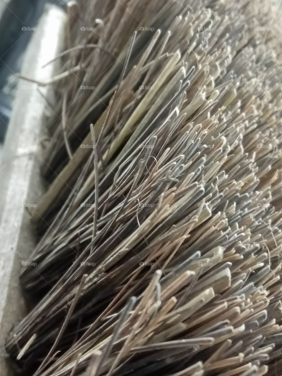 Close up of brush bristles