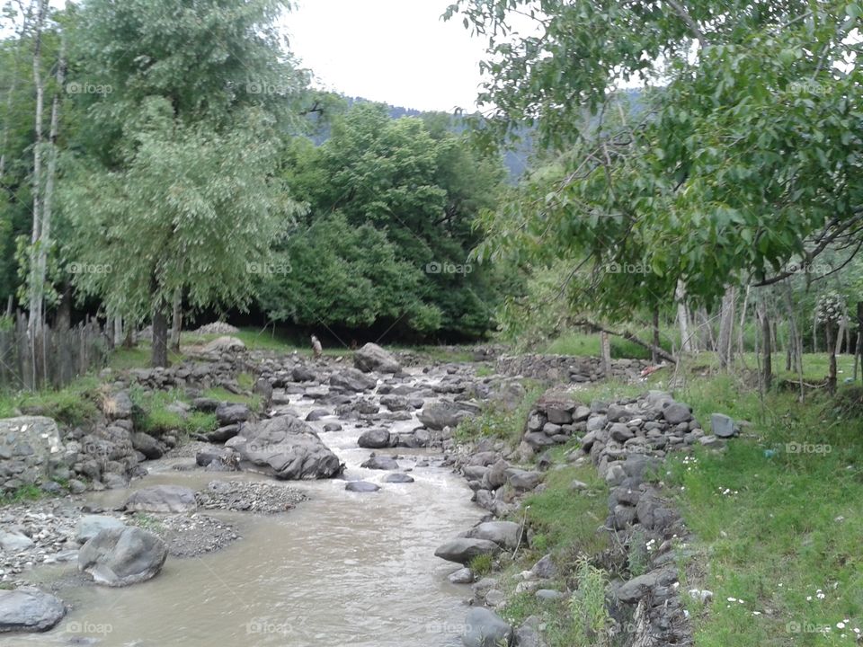 Nature, Water, Landscape, Wood, River