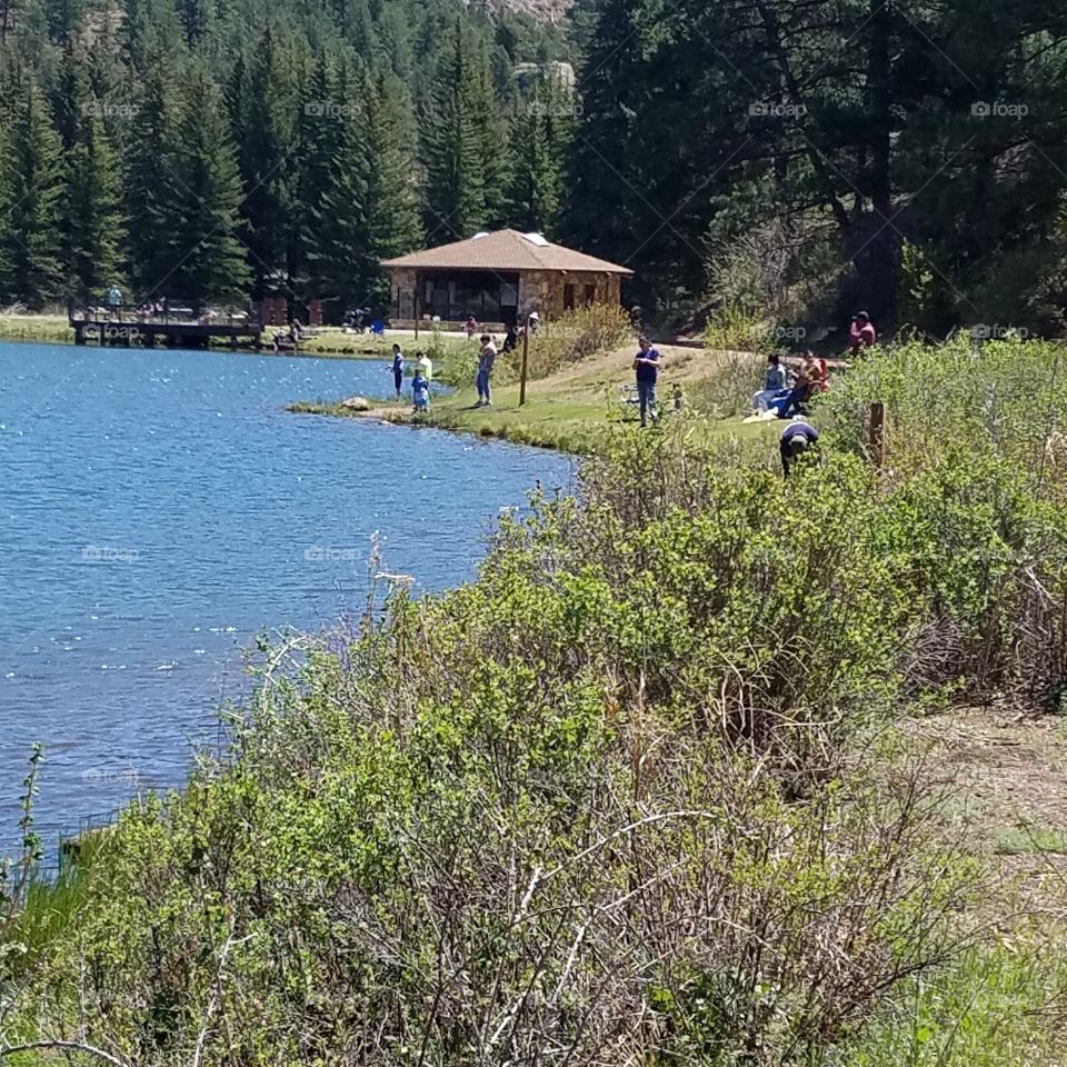 Scenic view of nature