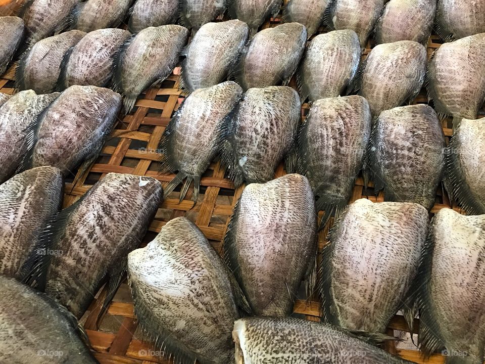 Dried salted damsel fish sold in Thai market