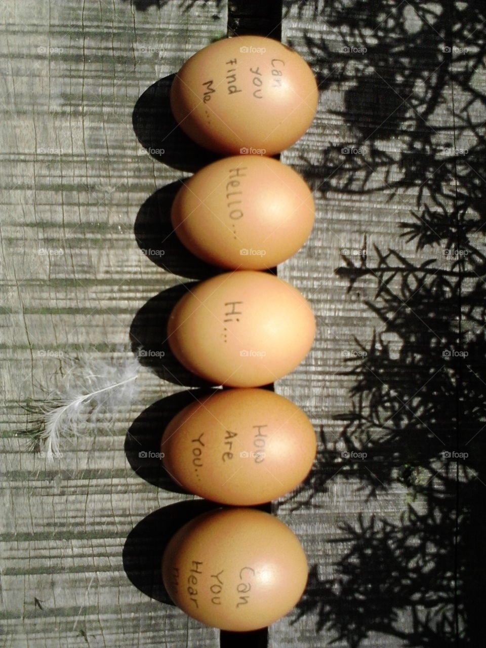 writing egg