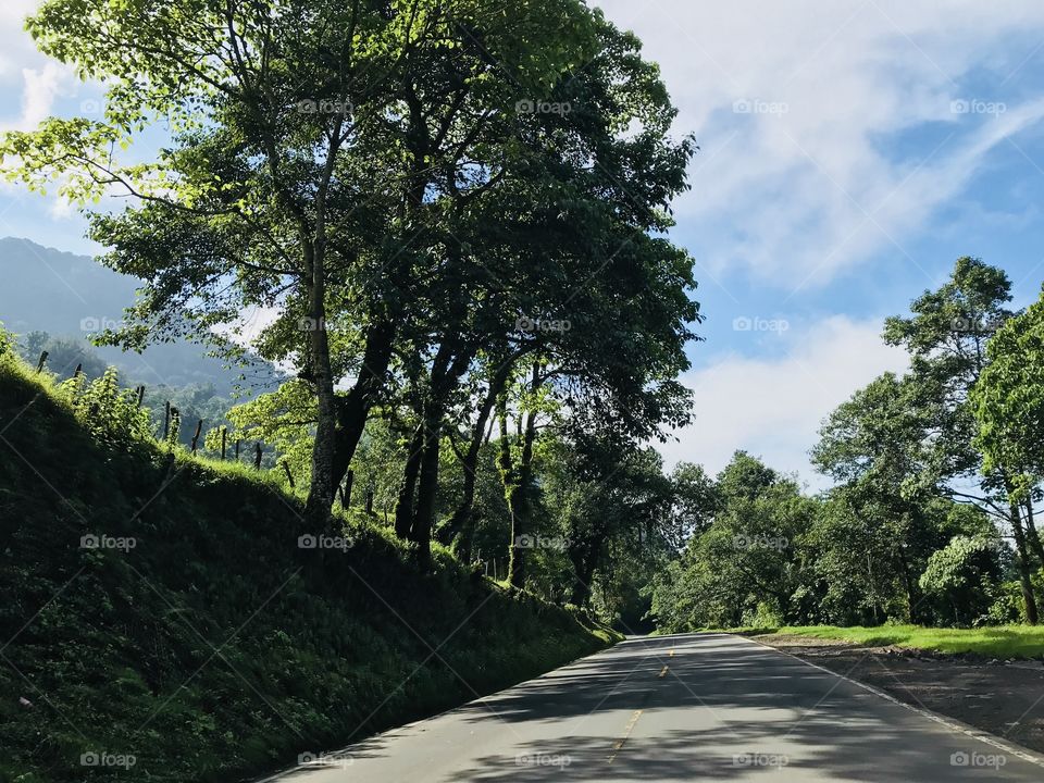 Carretera en ambiente verde