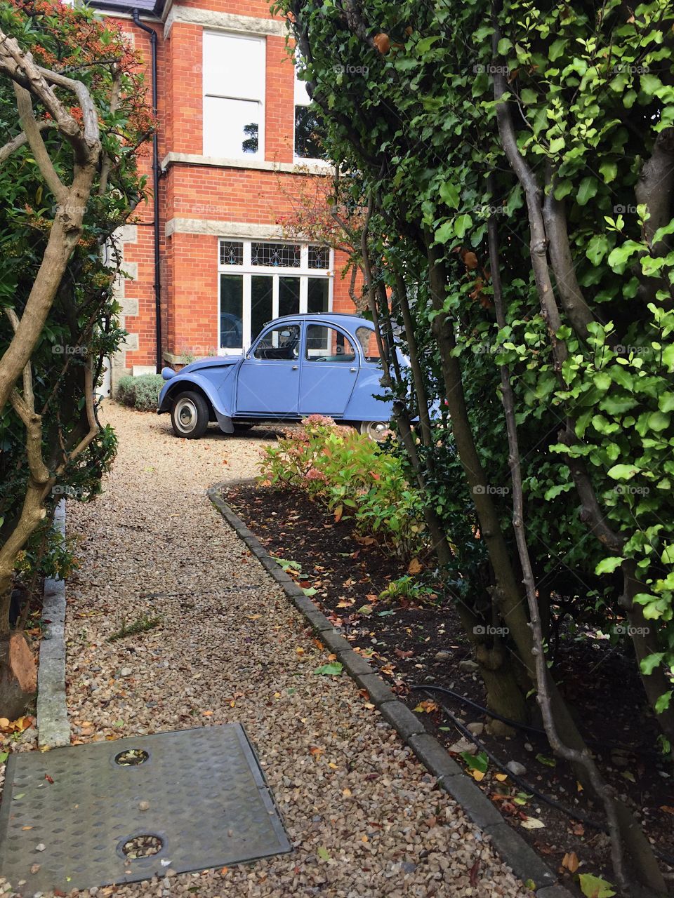 Garden, No Person, Leaf, Tree, House