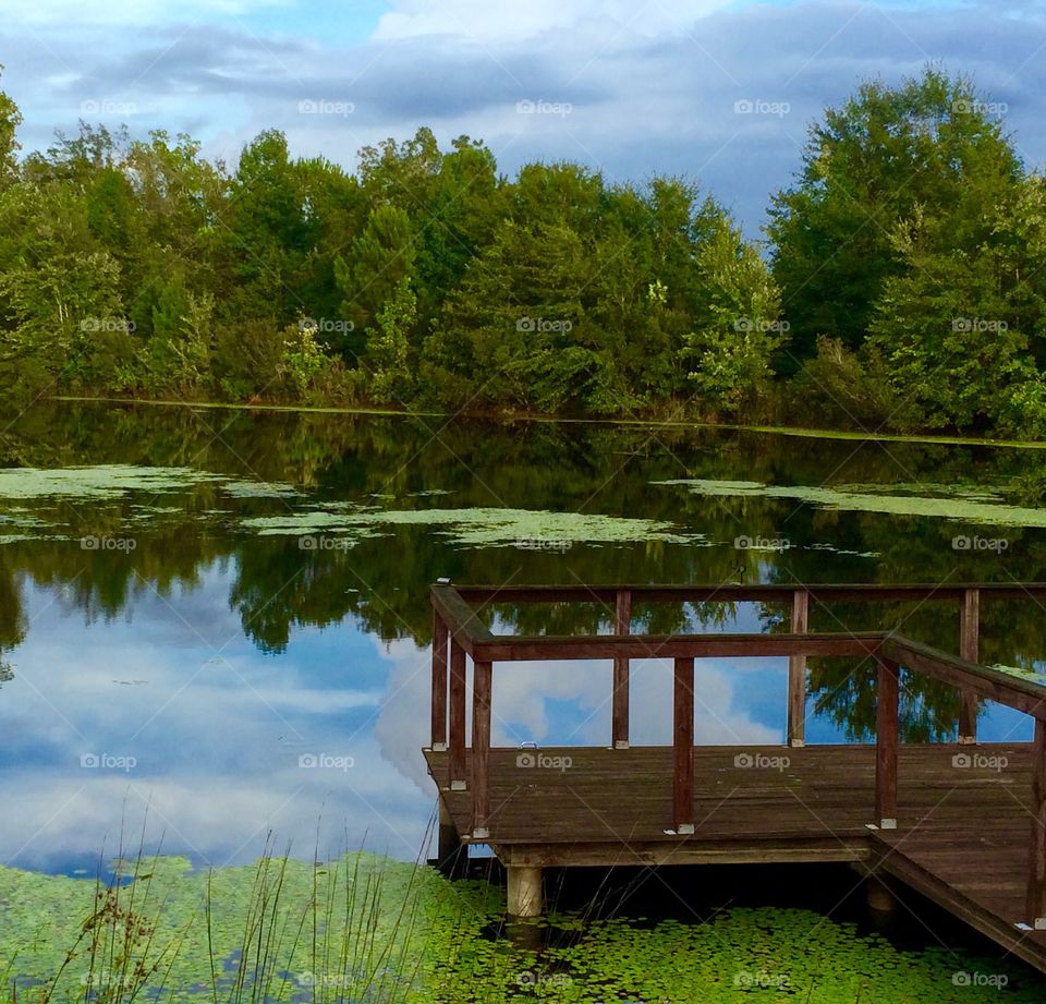 Glass pond