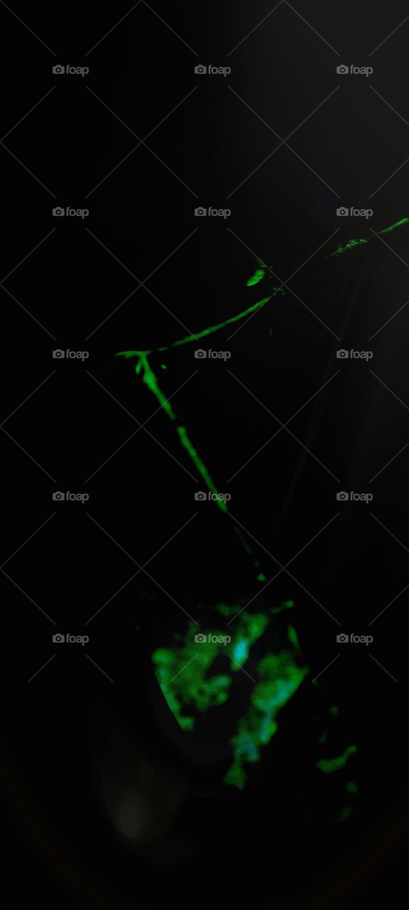 green leaf 🍃in darkness