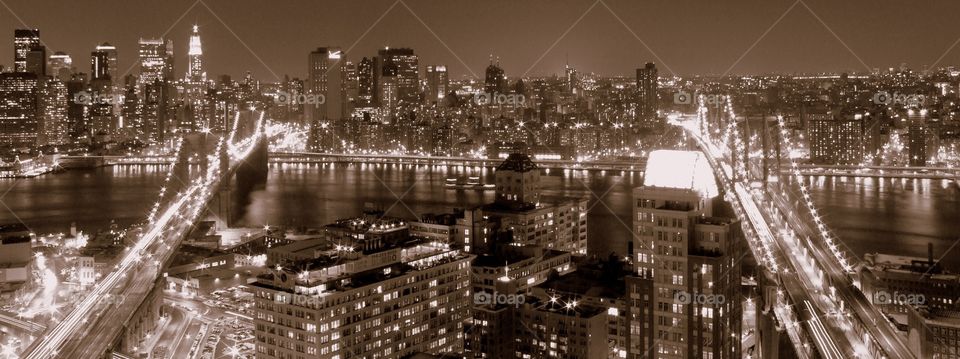 Camel backs. Two bridges in New York 