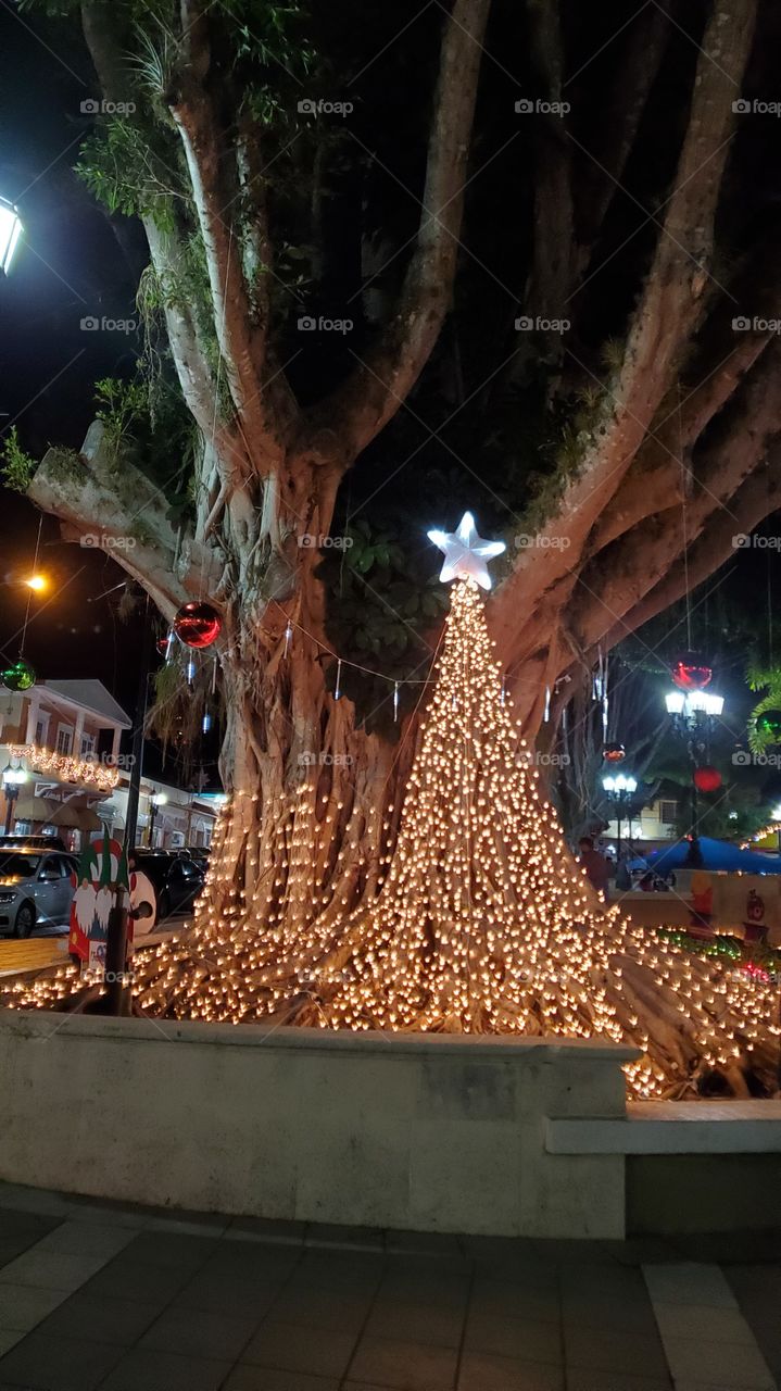chritmas decoration in Adjuntas, PR