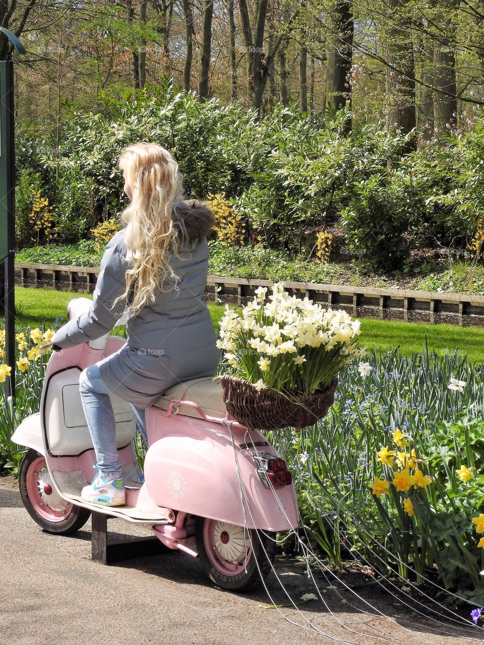 Pink vespa