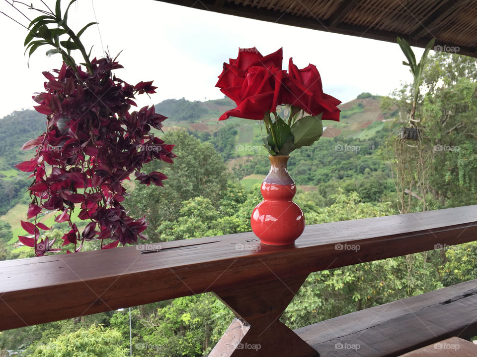 Red roses in orange vase 