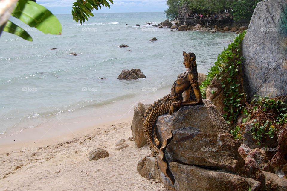 Mermaid gold looking the sea on the rocks in the beach 