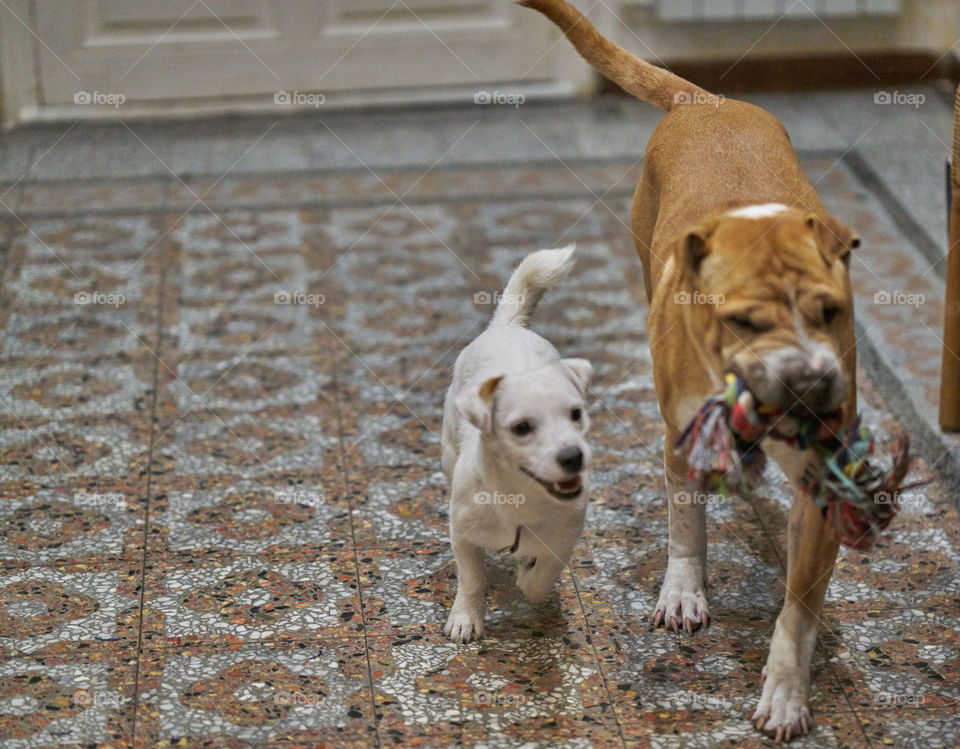 Togetherness o one against the other? 