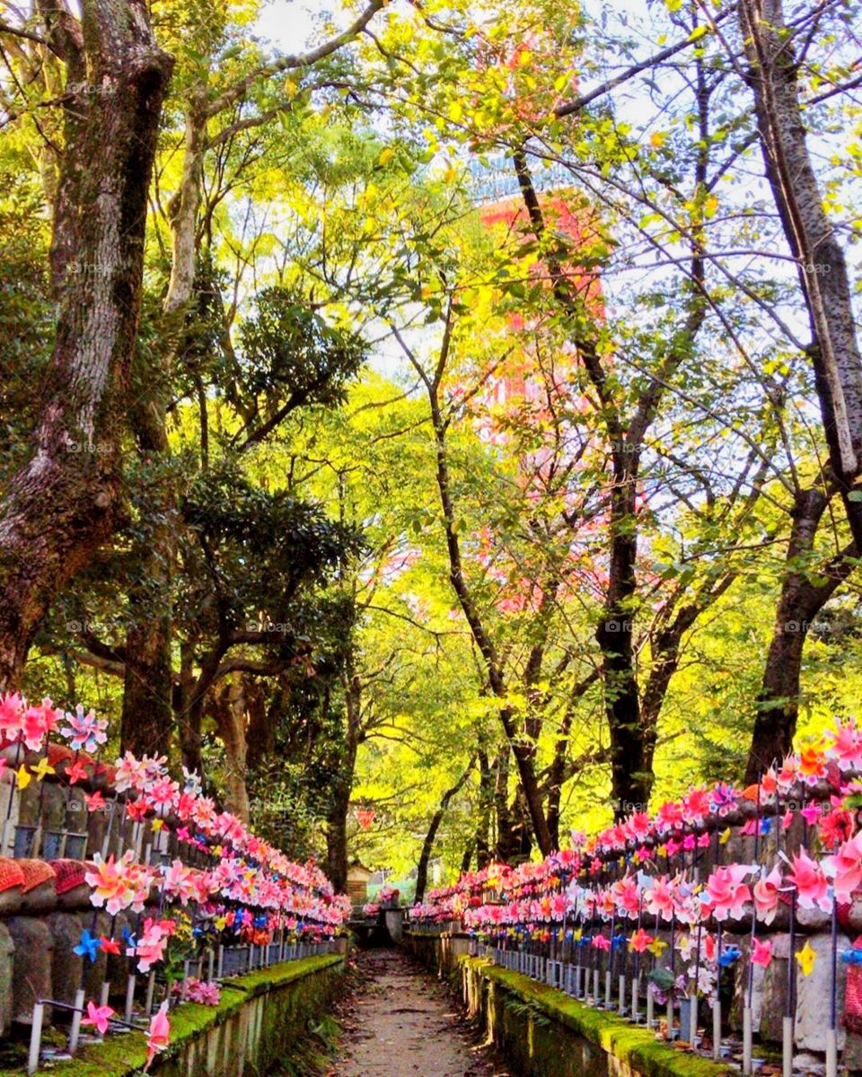A park filled with stone miniatures in Shiba. So colorful and pretty!