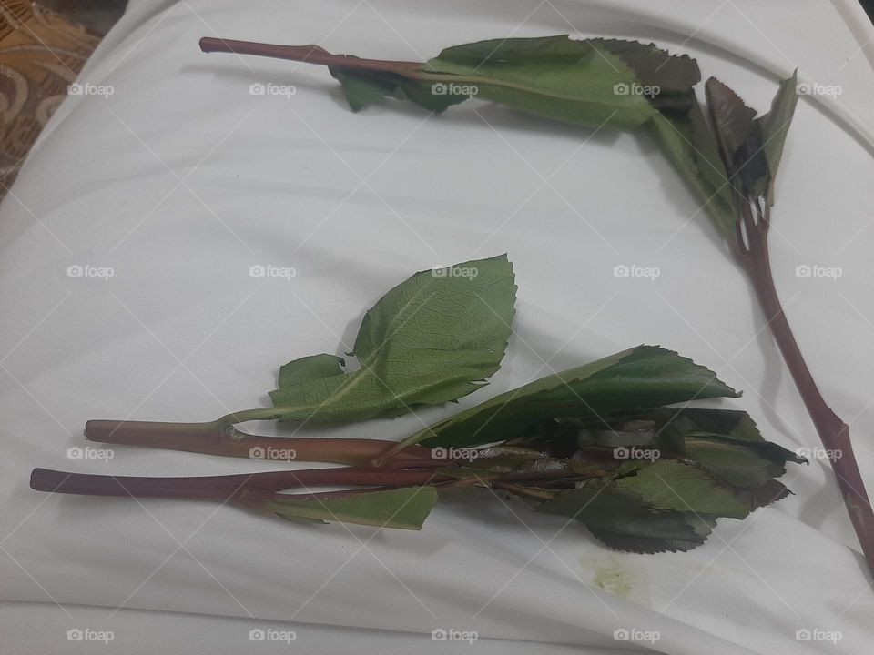 I need support I'm very poor