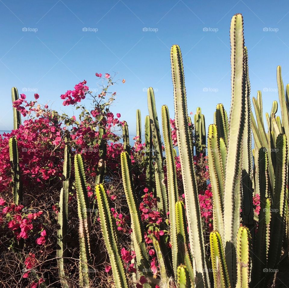 Great place to visit 😎