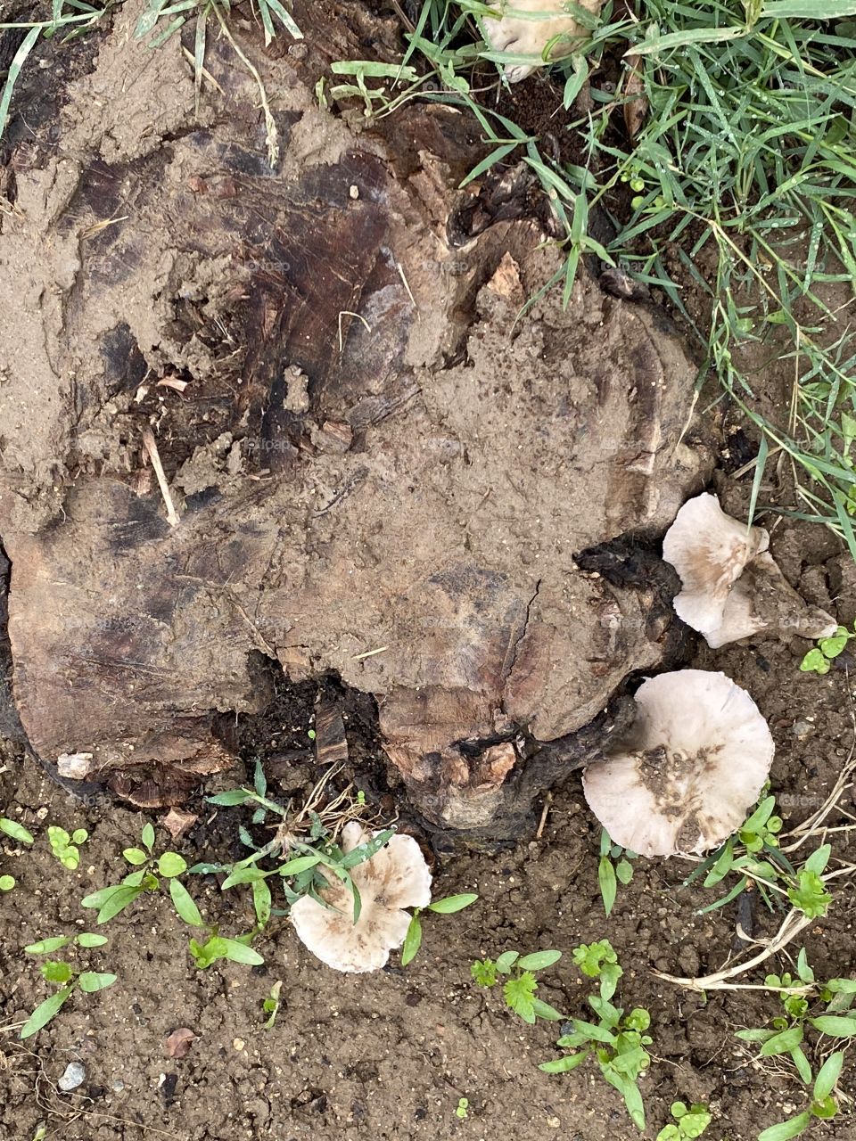 Beautiful weather today very nice and cold 🥶