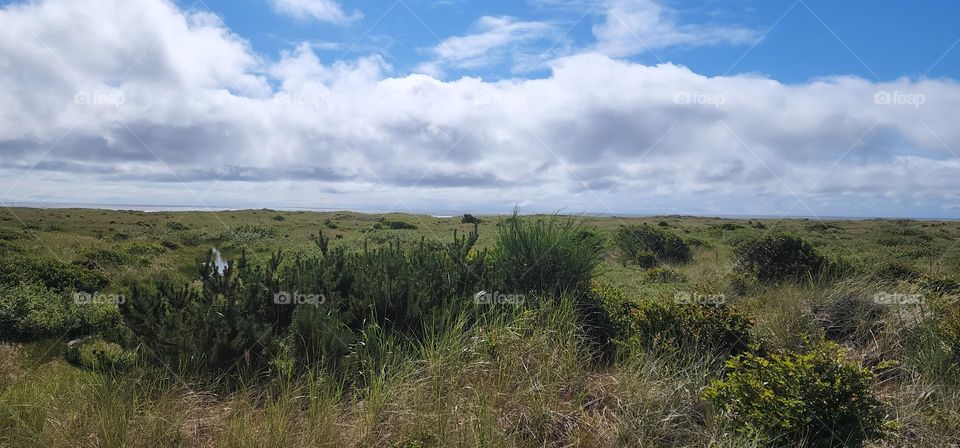 wetlands out to beach area
