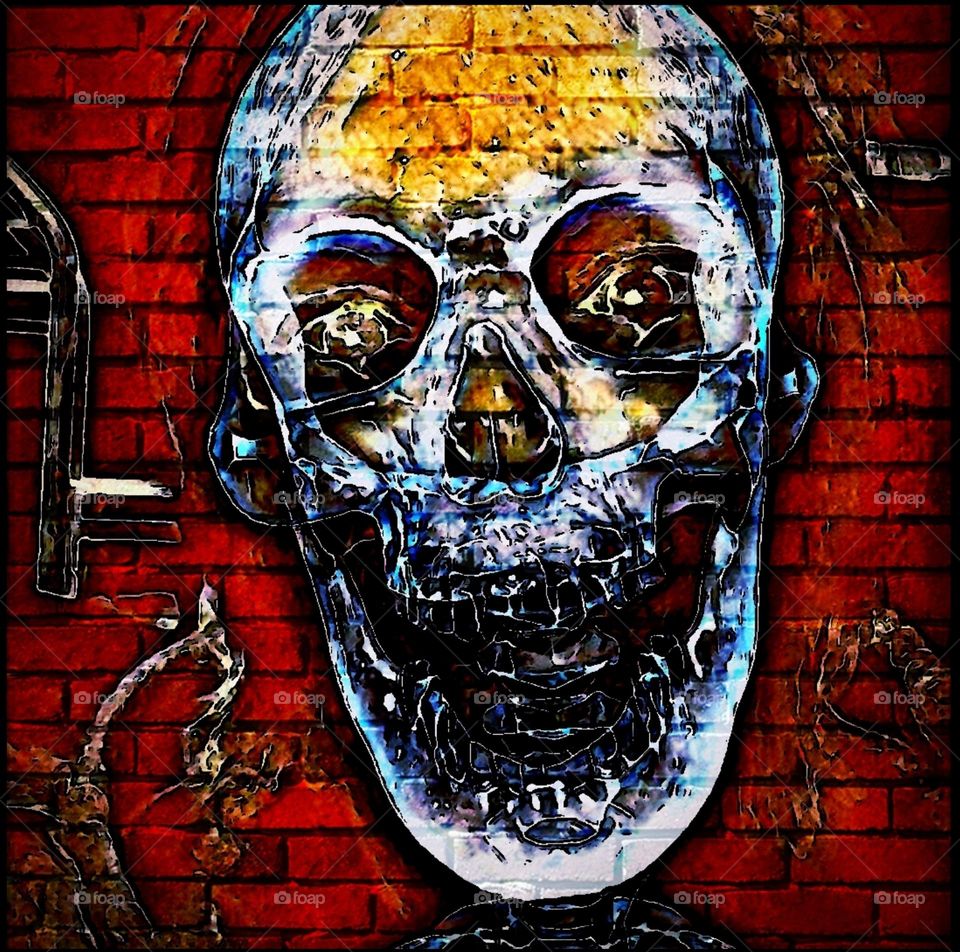 Skull, wall art