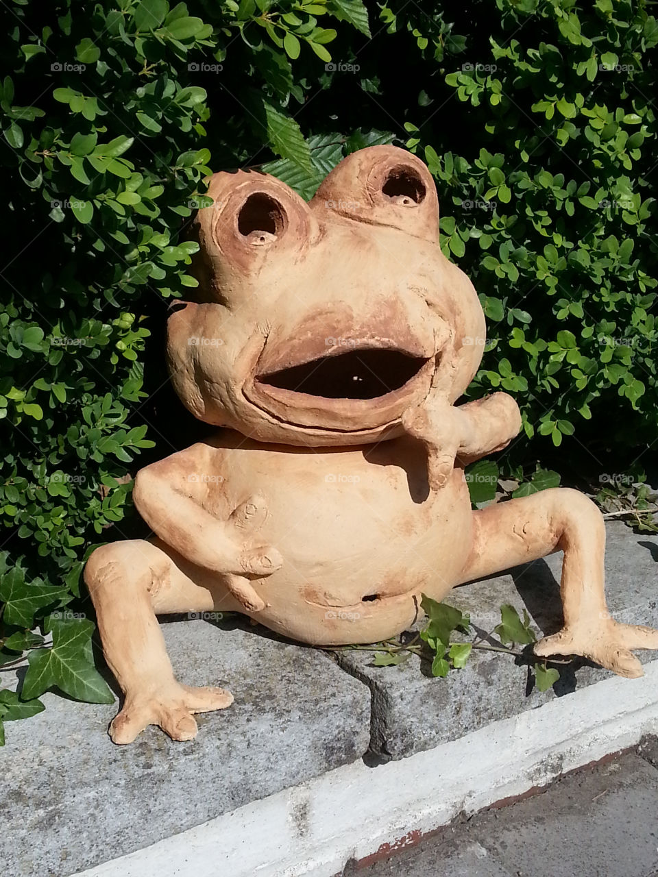 Terra-cotta Frog