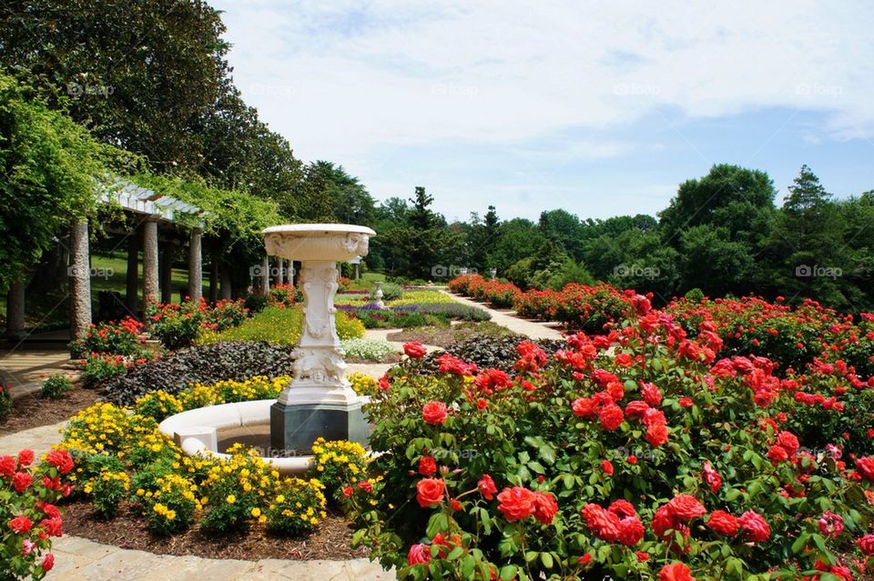 Mansion Gardens