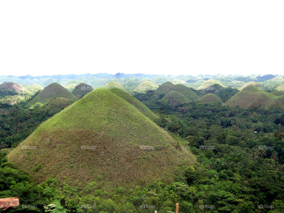 Chocolate Hills at Bohol, Philippines.
