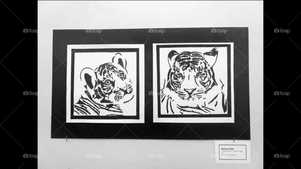 my hobby is that I love drawing.I did this drawing using an ink wash.It's of a tiger as a cub & then as an adult.The cub is innocent looking while the adult version has 2 sides to her: the caring side & then the side that appears when messed with.