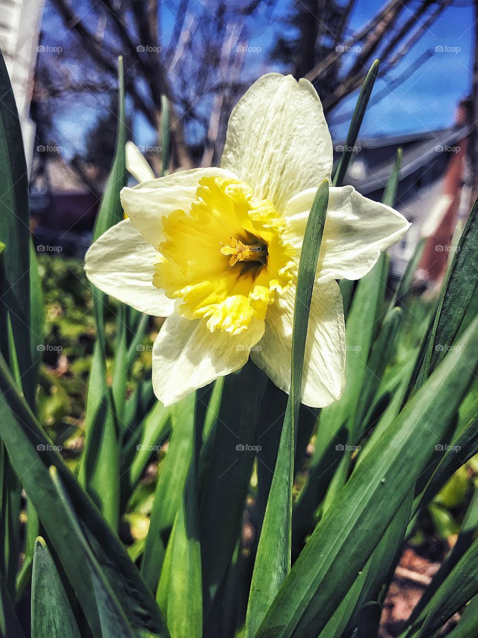 Spring is finally here...