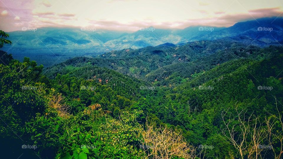 Green and beautiful hilly area in Tolitoli, Indonesia.