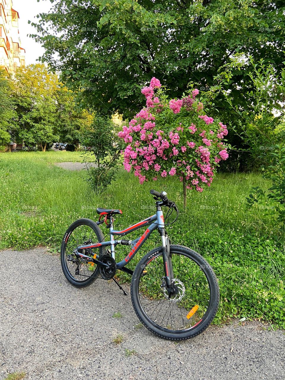 Bicycle in summer city 