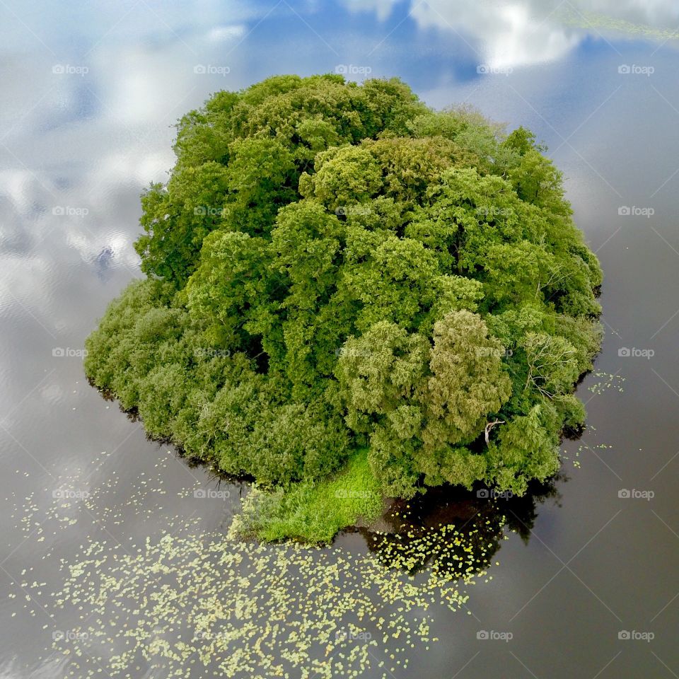 Island like a broccoli 