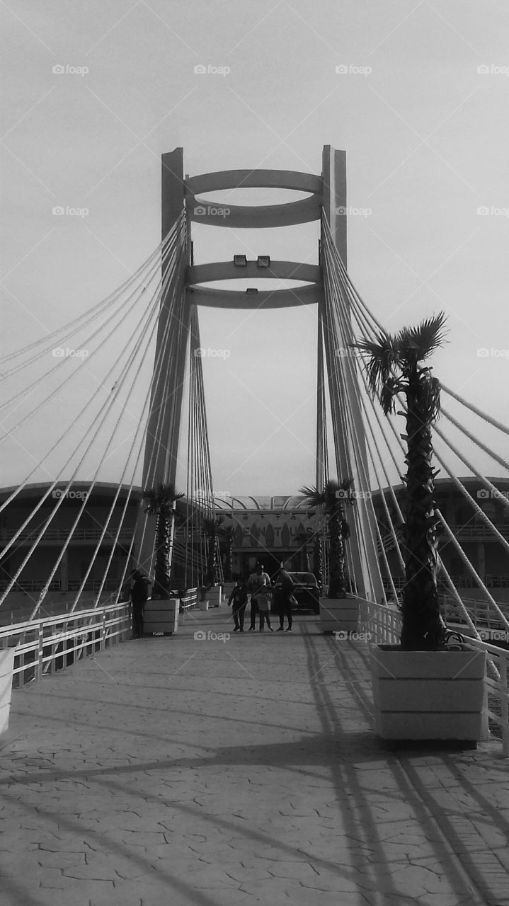 Black and White Bridge