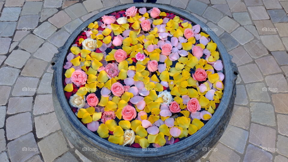 Floral arrangement in water