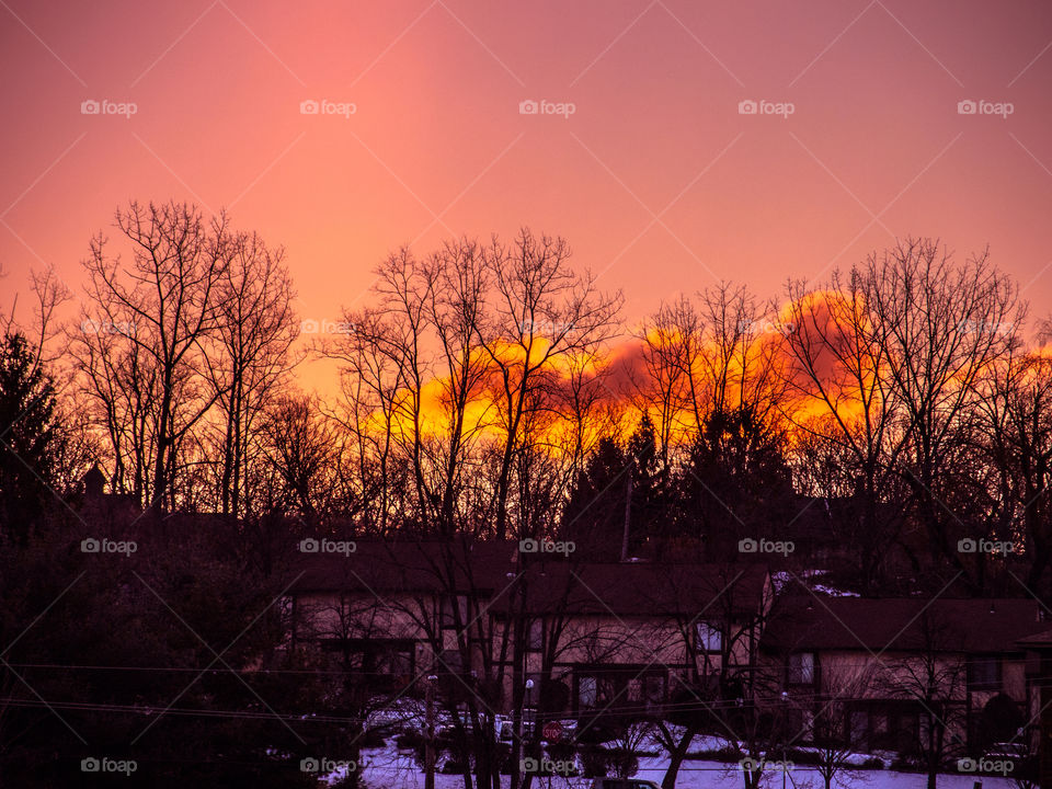 winter clouds trees sunrise by delvec