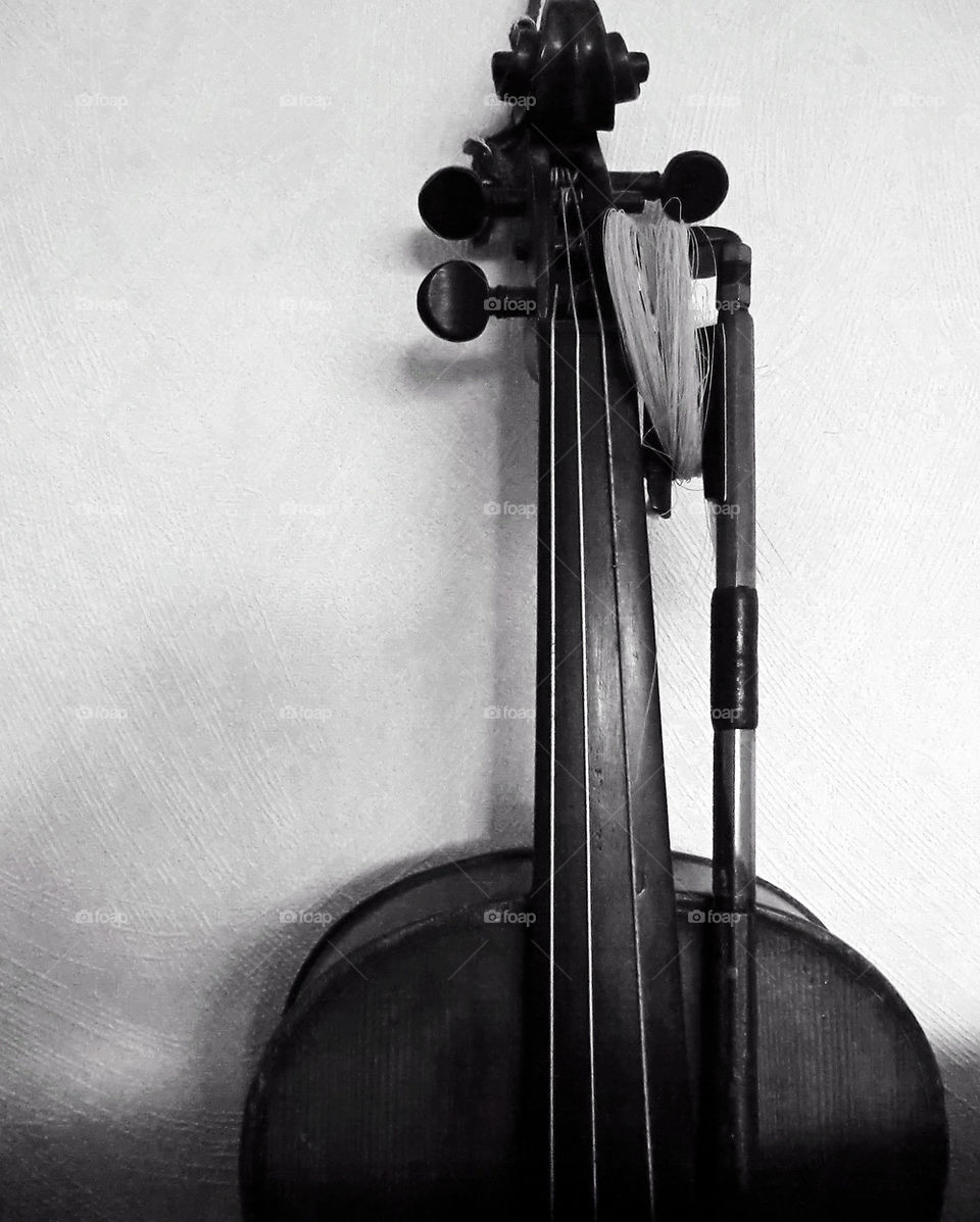 Grandpas viola