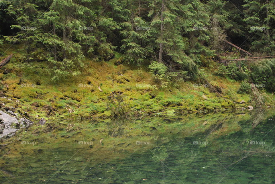 Summer Carpathian Mountains. A mountain lake