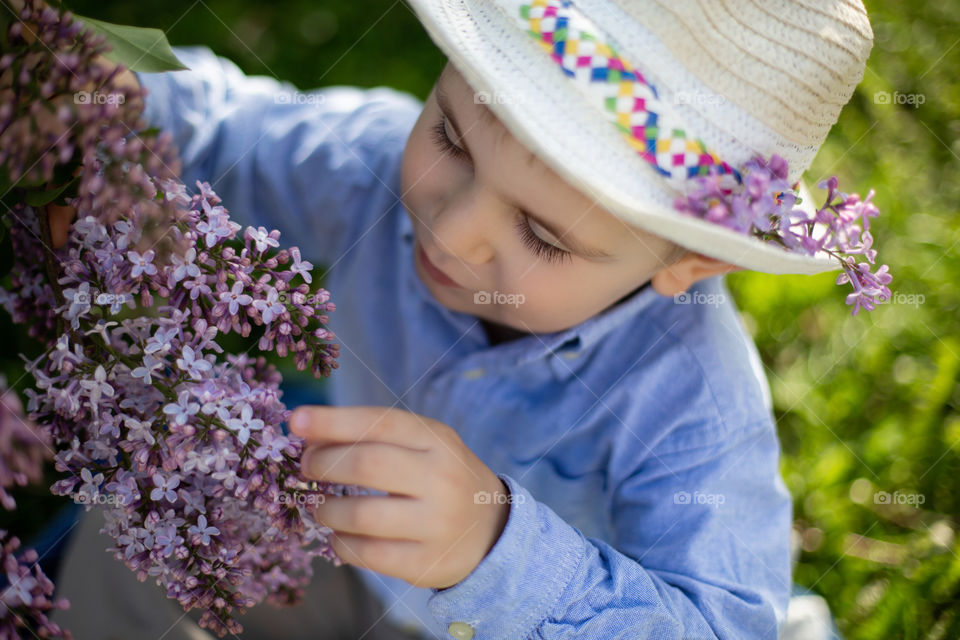 lilac mood