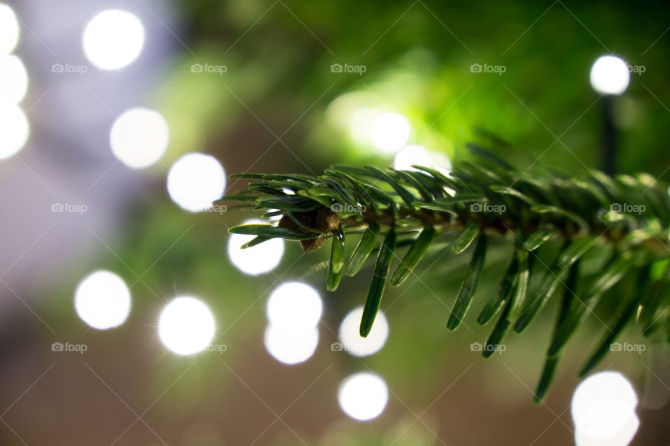 Christmas tree detail with nice bokeh