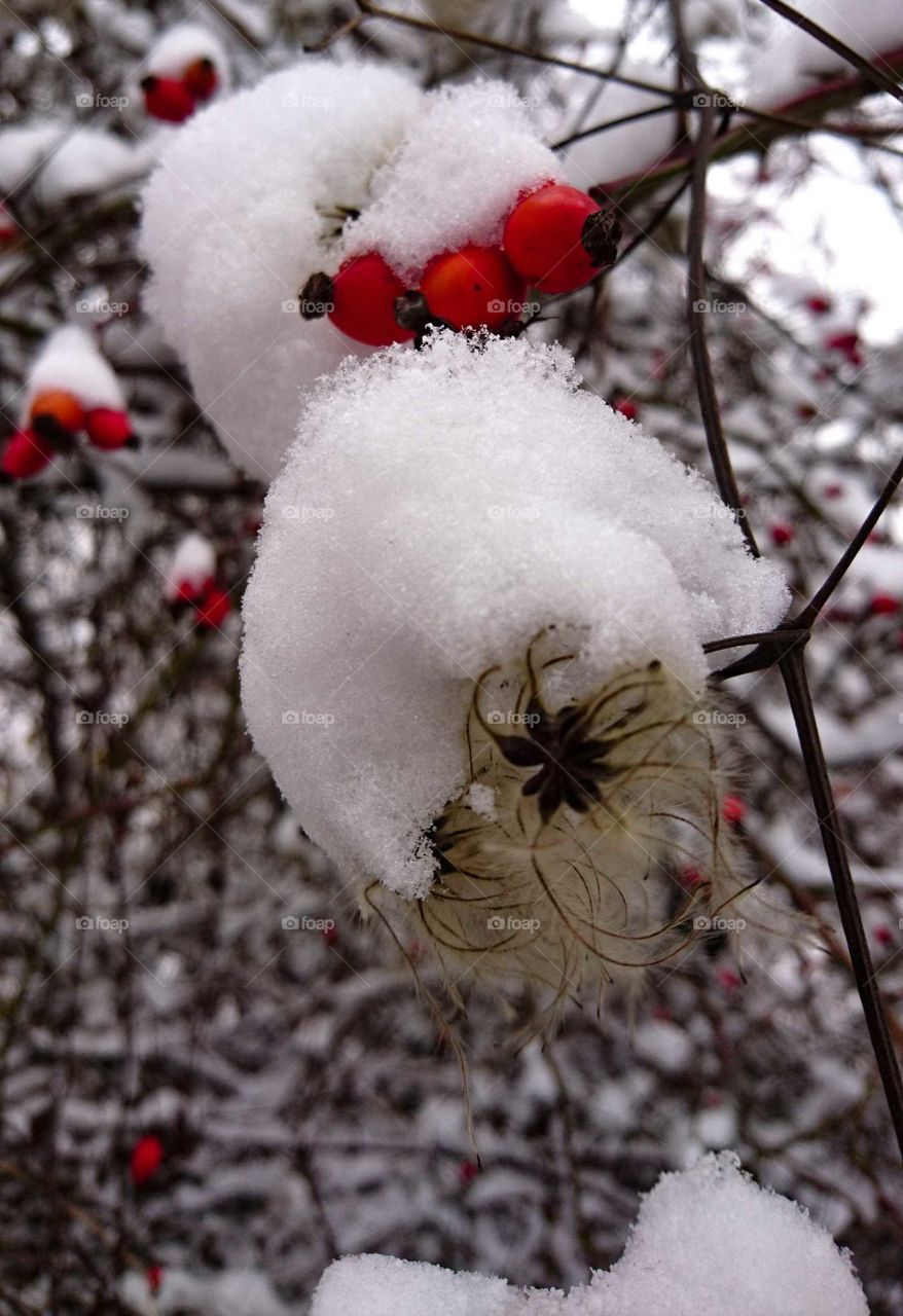 First snow