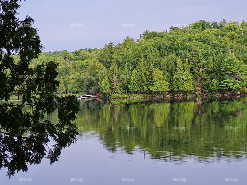 Quiet Cottage View