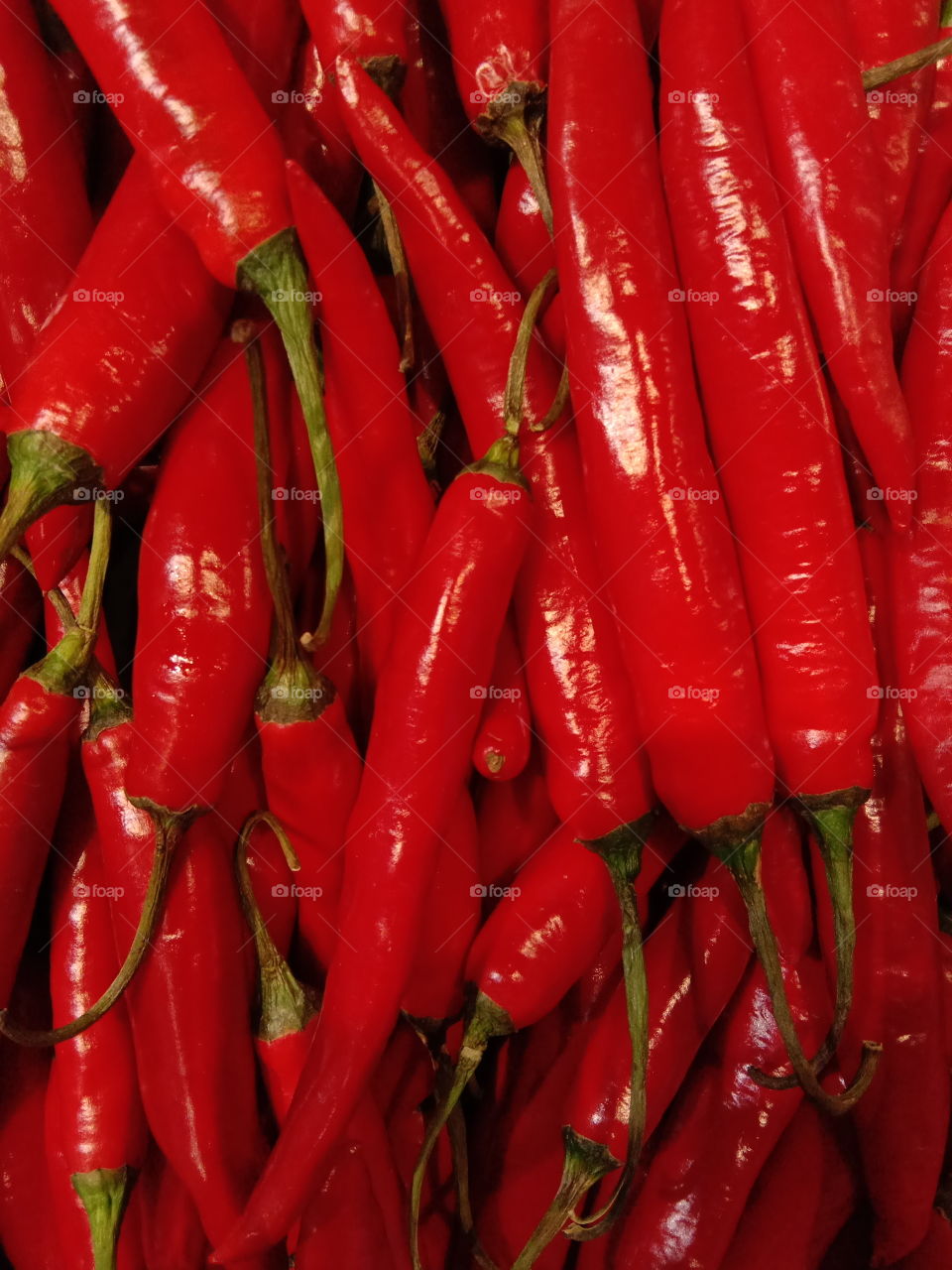 chili in market, cabai di pasar