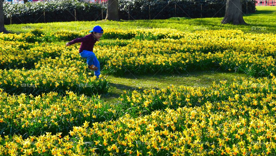 Boy playing in flower field