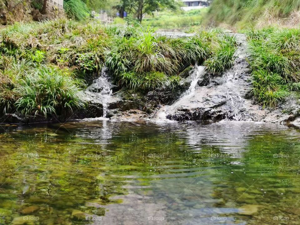 the beauty and tranquility of water 