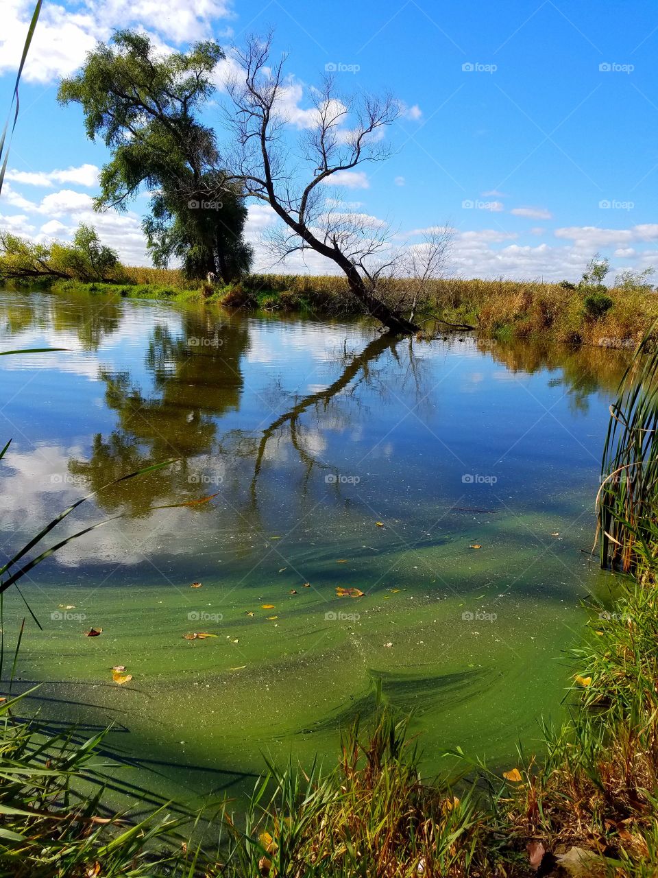 water reflections